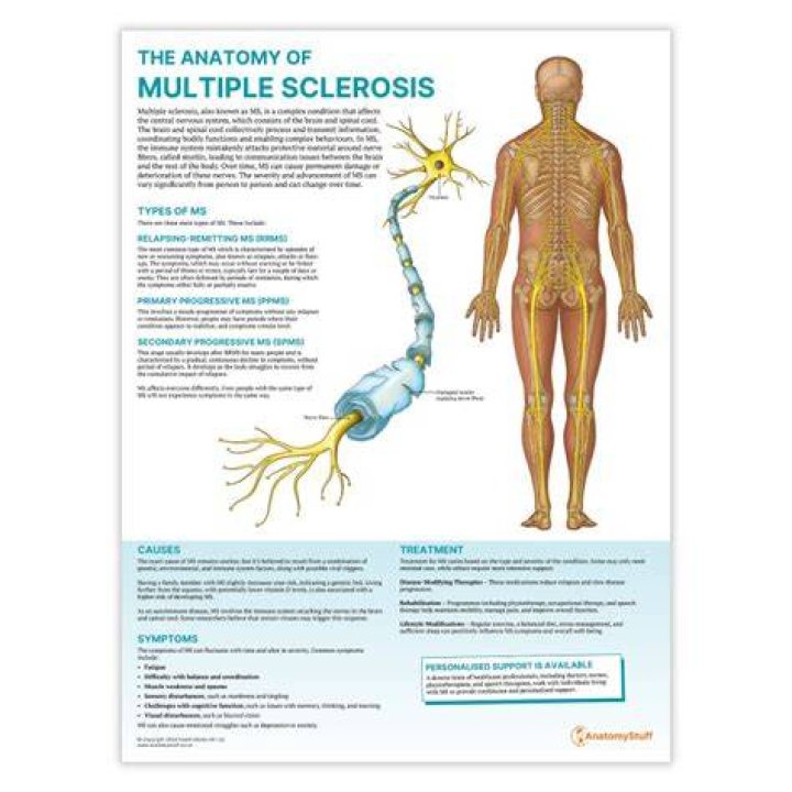 Are reflexes affected by MS?