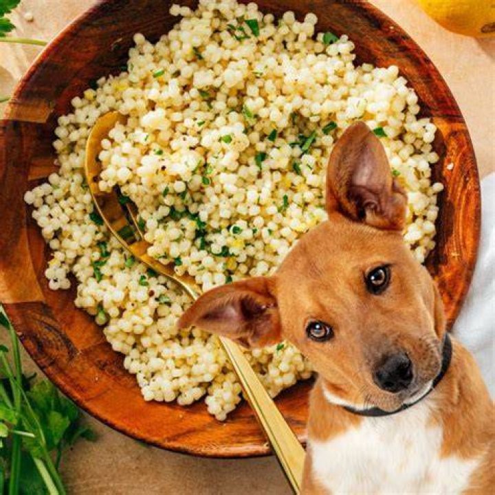Can babies eat couscous?