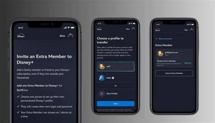 Can I share my Disney Plus account with someone in another country?