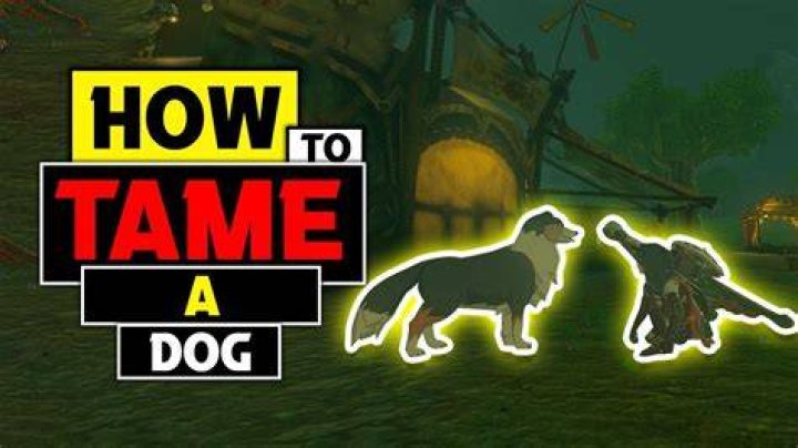 Can you have a dog in Zelda breath of the wild?