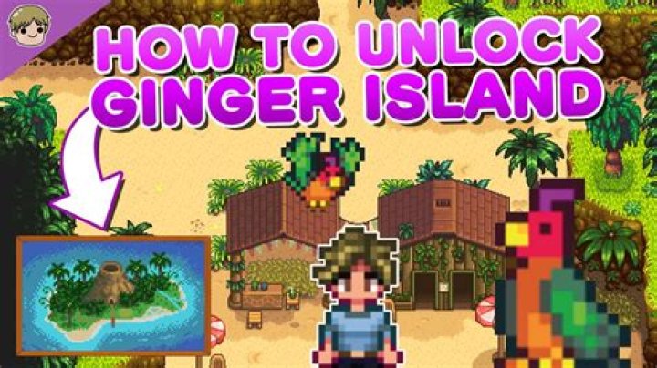Can you put a chest on Ginger Island?