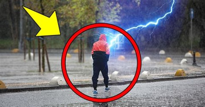 Do horses get struck by lightning?