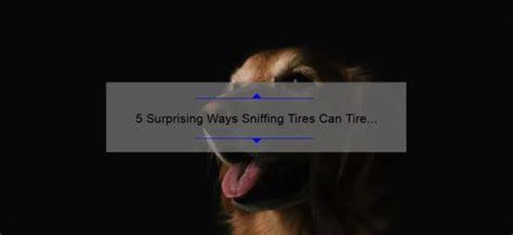 Does sniffing tire a dog out?