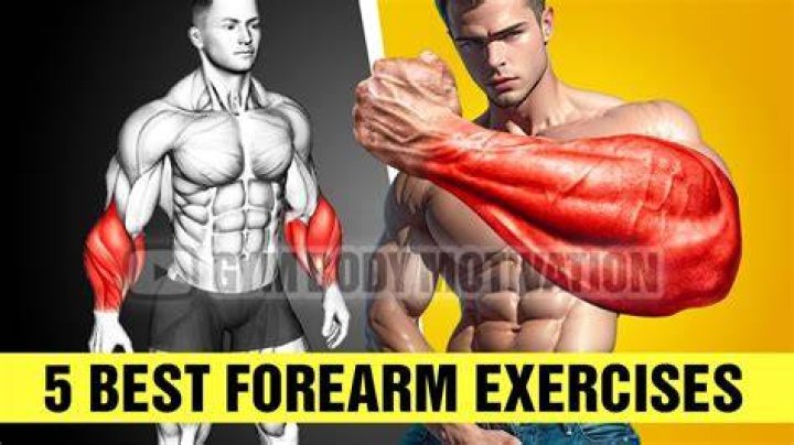 How do I make my forearms bigger?