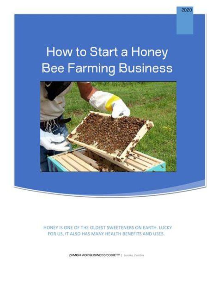 How do you pick good honey?