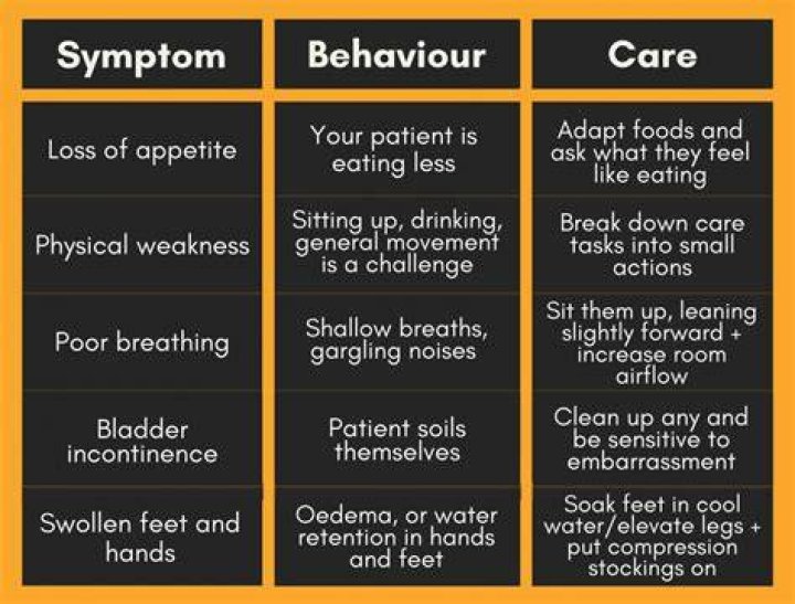 What are end of life symptoms?