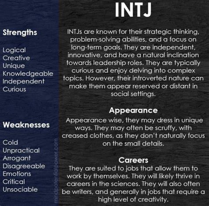 What are INTJs good at?