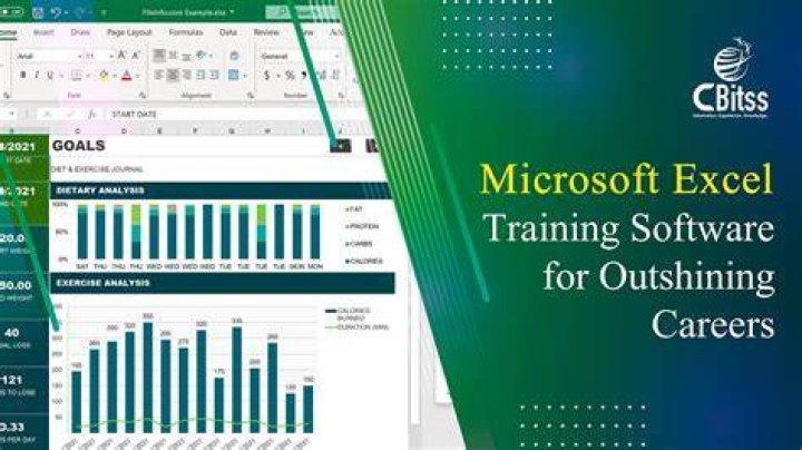 What careers use Excel?