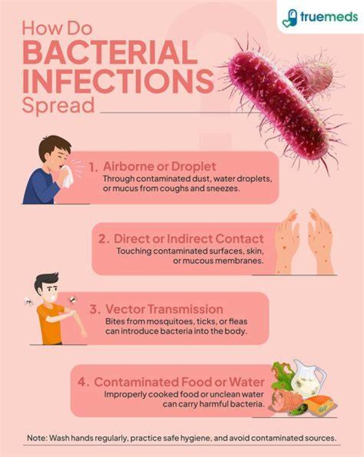 What is the most effective thing you can do to prevent the spread of infection in the home Centre based?