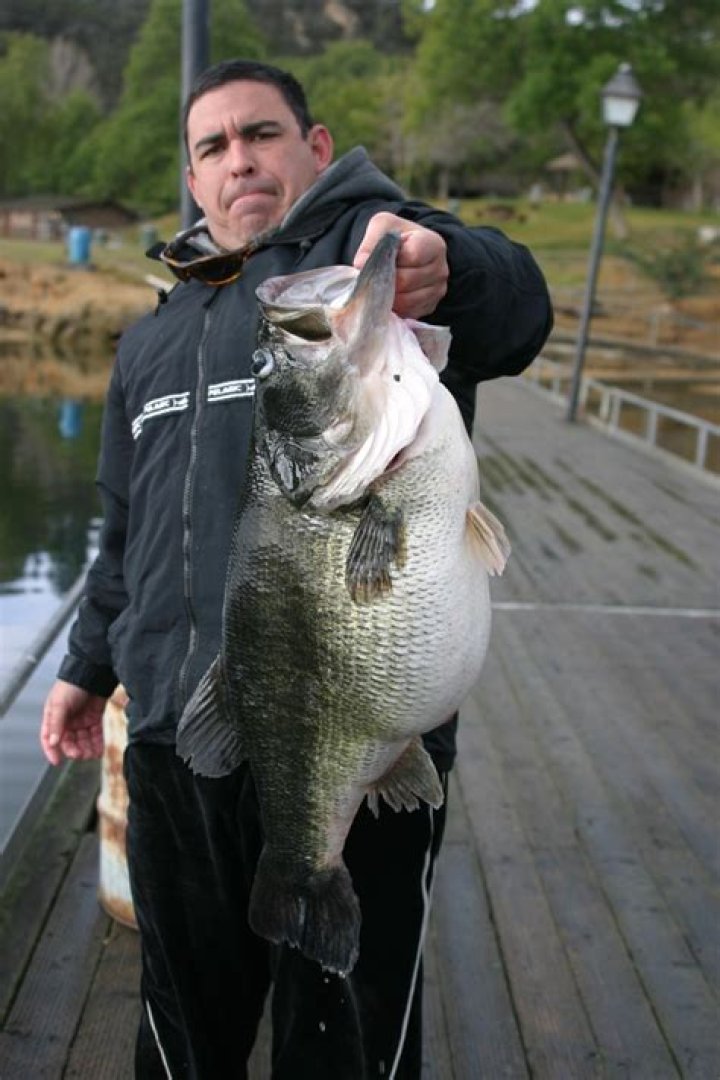 What lake in California has the biggest bass?