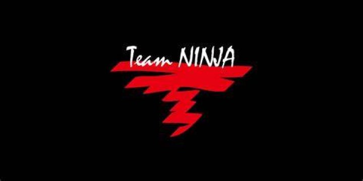 What will Team Ninja do next?