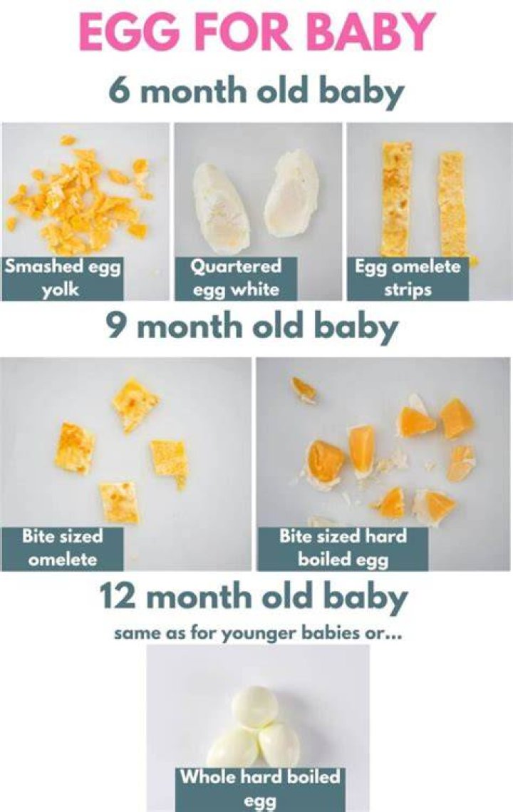 When can I introduce eggs to my baby?