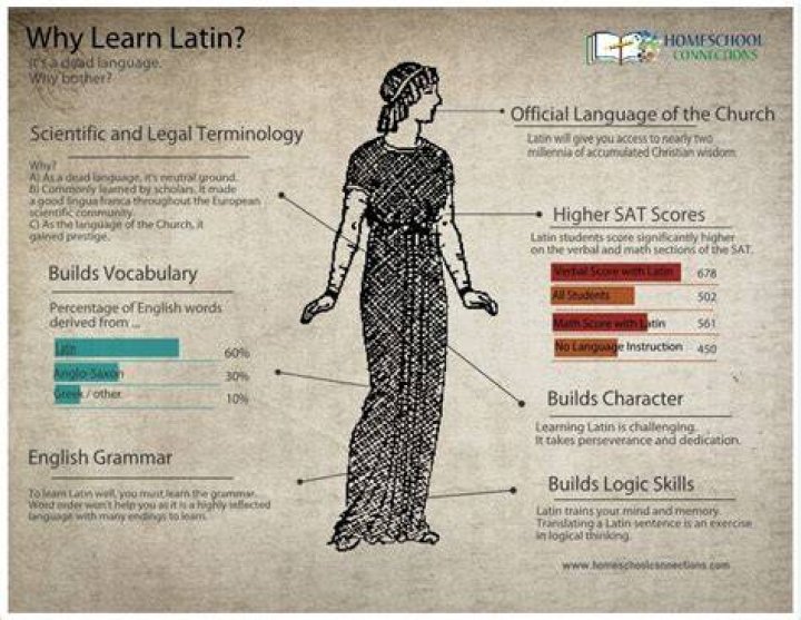 Why should you learn Latin?