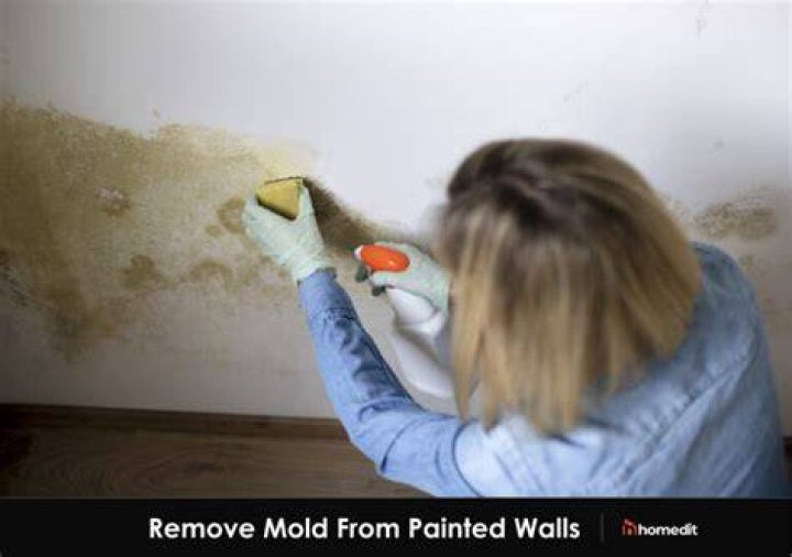 Will bleach ruin painted walls?